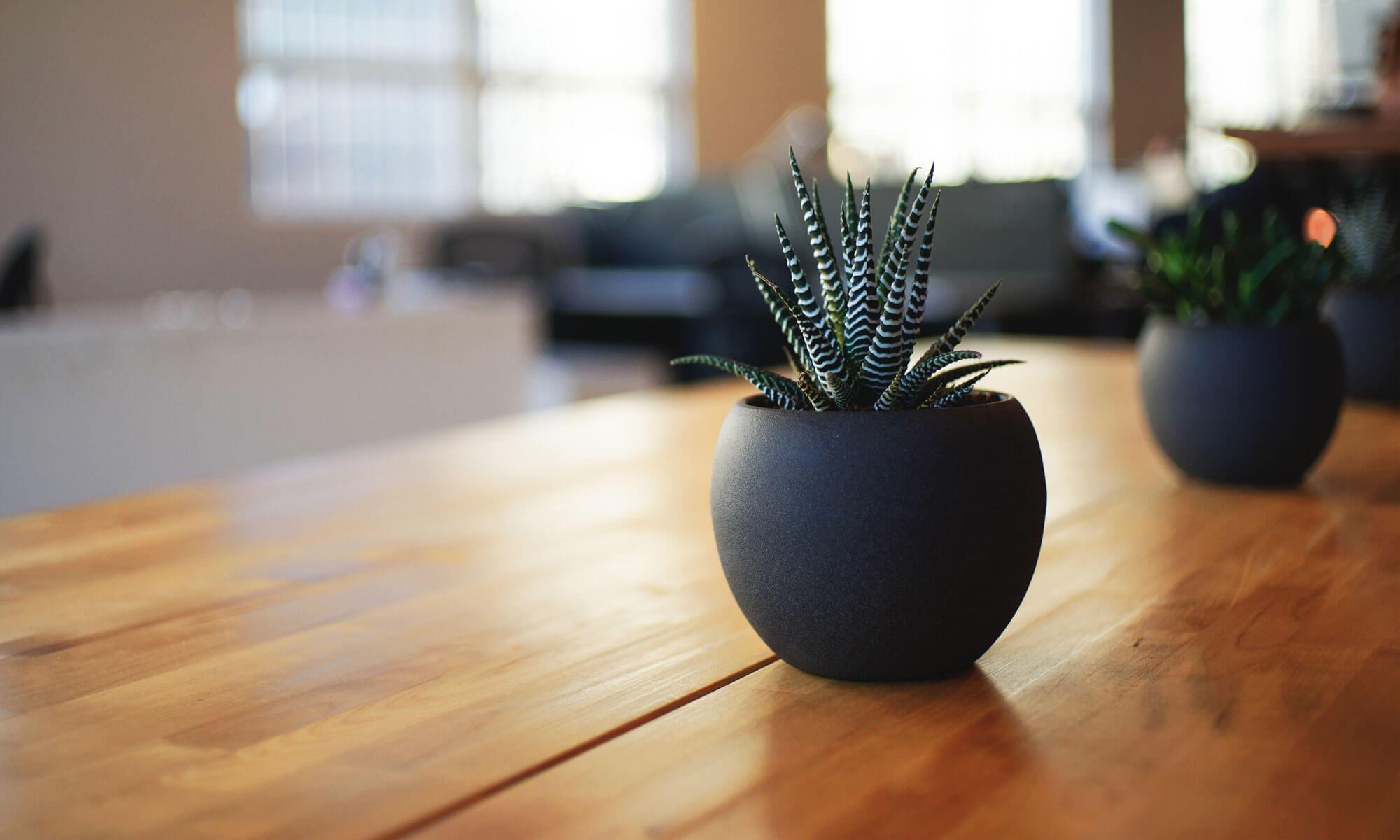 Integrated Constructive Solutions